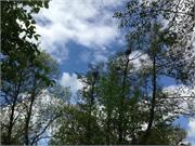 Foto 07.05.15 14 27 16